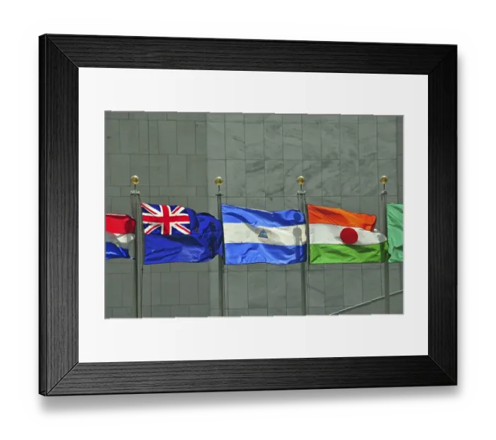 Framed Print : Flags of New Zealand, Nicaragua and Niger