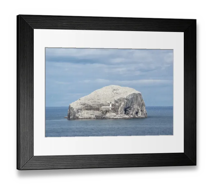Framed Print : Bass Rock, volcanic rocks and gannet colony in the Firth of Forth at North Berwick
