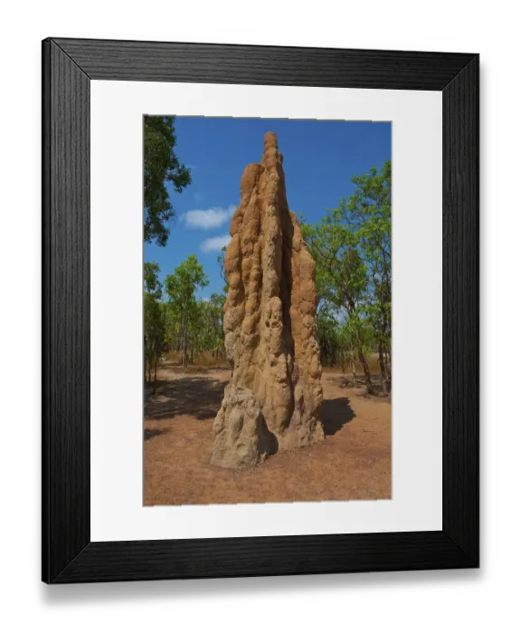 Framed Print : Termite mound in the Litchfield National Park, Northern Territories, Australia, Oceania Framed Print : Termite mound in the Litchfield National Park, Northern Territories, Australia, Oceania