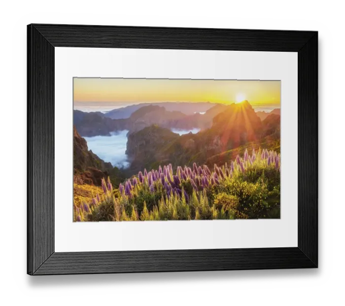 Framed Print : View from Pico do Arieiro of mountains over clouds with Pride of Madeira flowers
