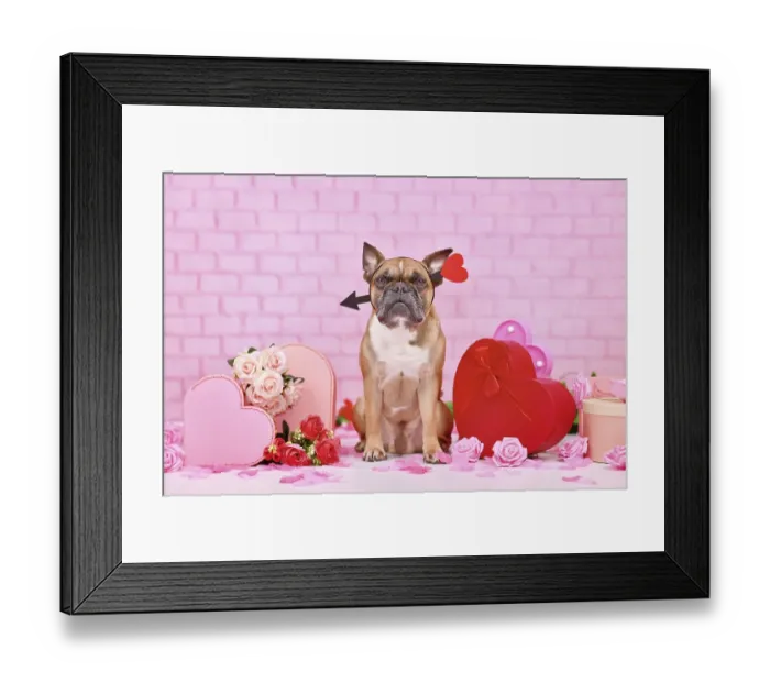 Framed Print : Cute Valentine's day dog Framed Print : Cute Valentine's day dog
