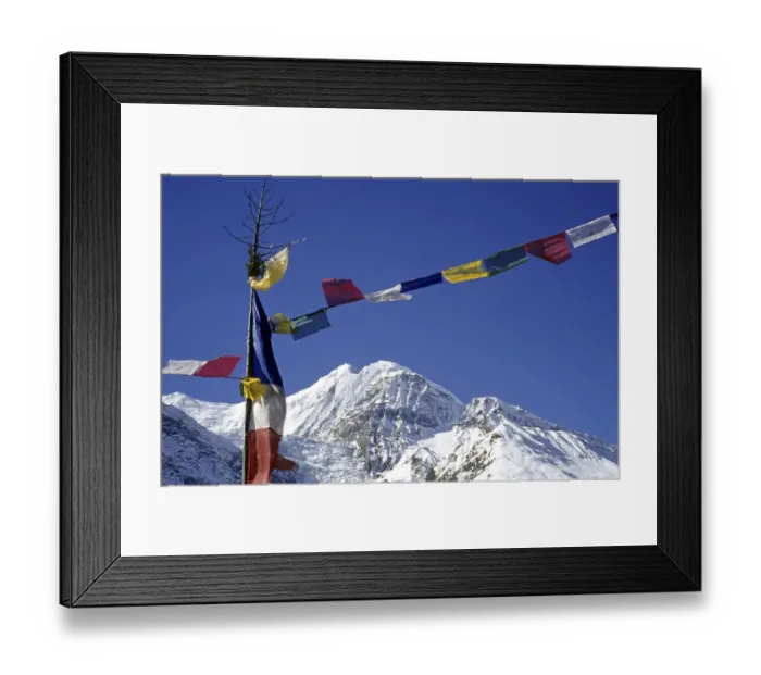 Framed Print : Colourful prayer flags, printed with holy verses and images of the Wind Horse