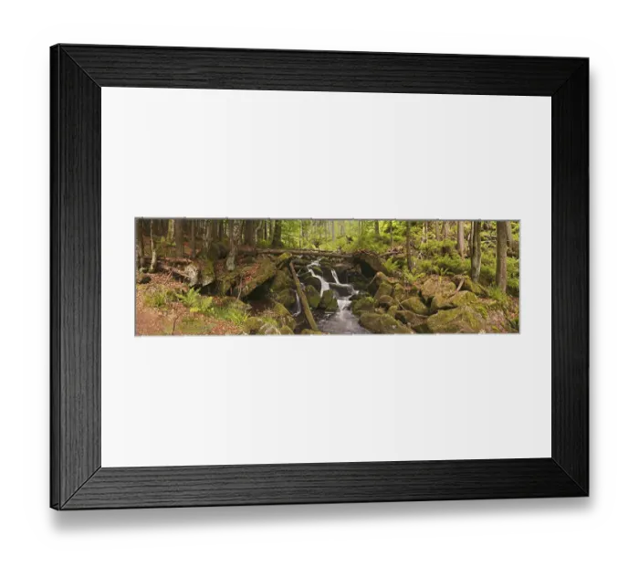 Framed Print : Kleine Ohe stream in the primeval forest Framed Print : Kleine Ohe stream in the primeval forest