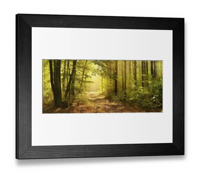 Framed Print : Hiking trail through mixed forest in autumn