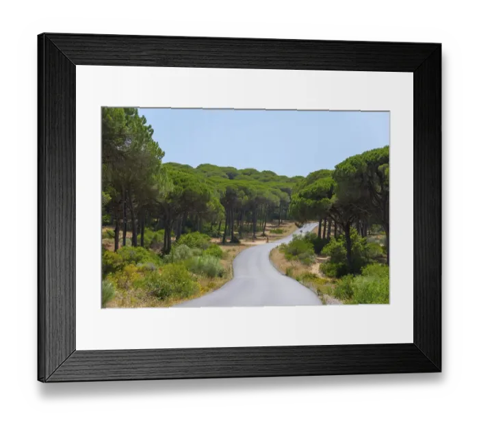 Framed Print : A narrow road runs through a dense