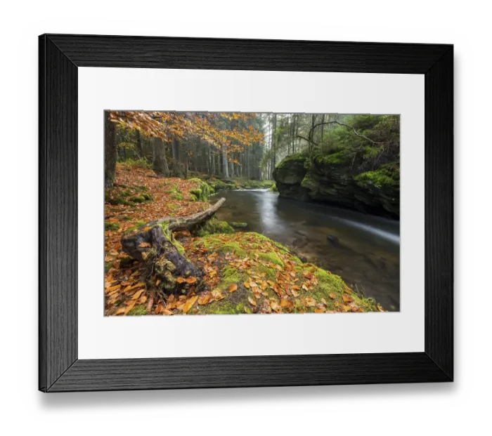 Framed Print : Grosser Regen river, autumn, Bavarian Forest National Park