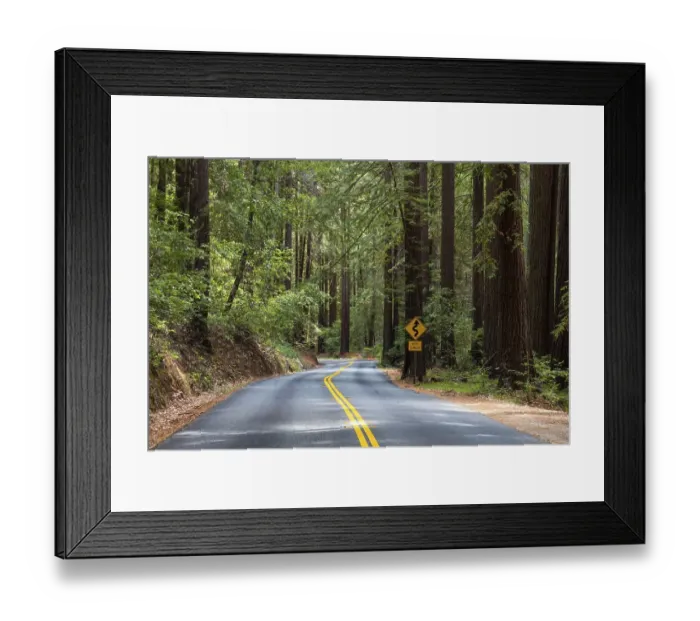 Framed Print : Curvy road, Henry Cowell Redwoods State Park