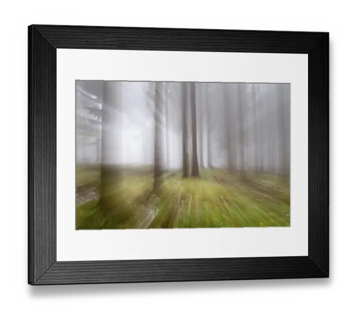Framed Print : Impresssions of an autumnal forest Framed Print : Impresssions of an autumnal forest