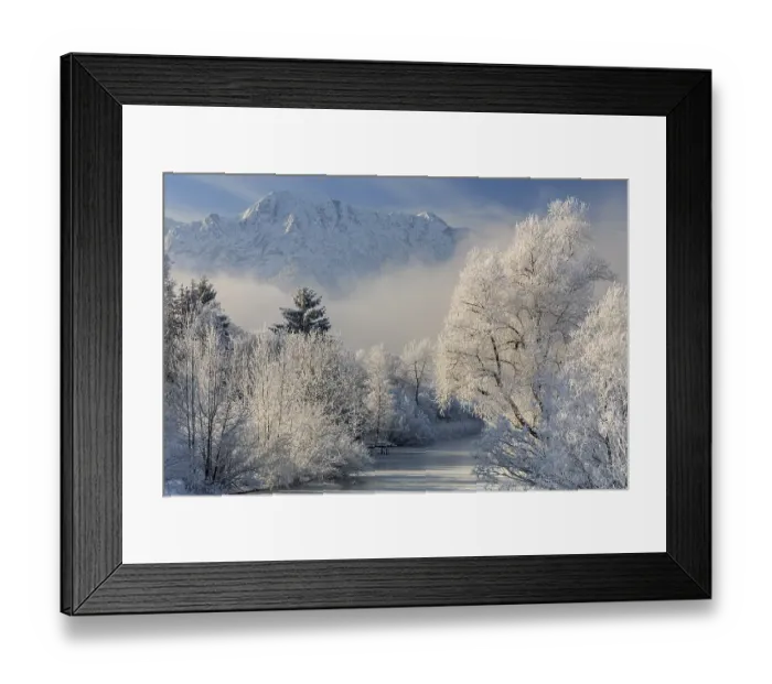 Framed Print : Snow-covered trees in front of mountains