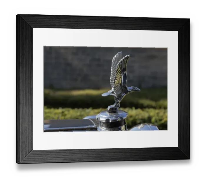Framed Print : Silver Eagle hood ornament, ALVIS mascot Framed Print : Silver Eagle hood ornament, ALVIS mascot