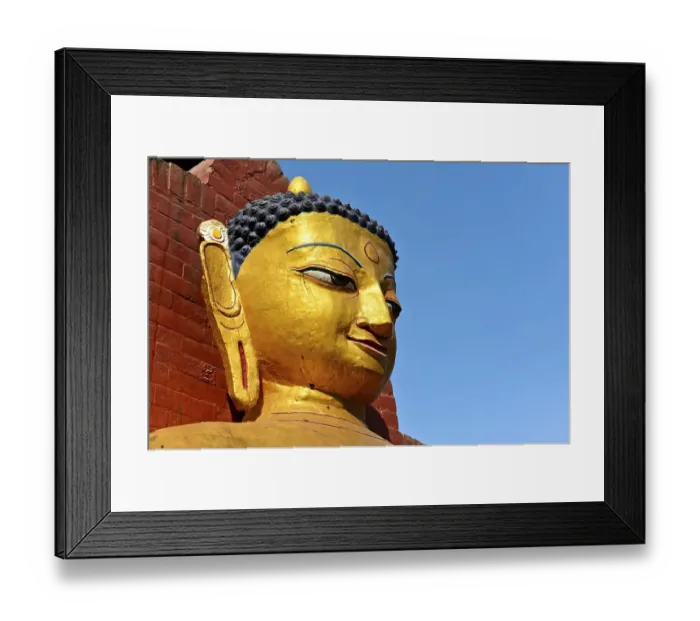 Framed Print : Golden Buddha, Portrait, Monkey Temple