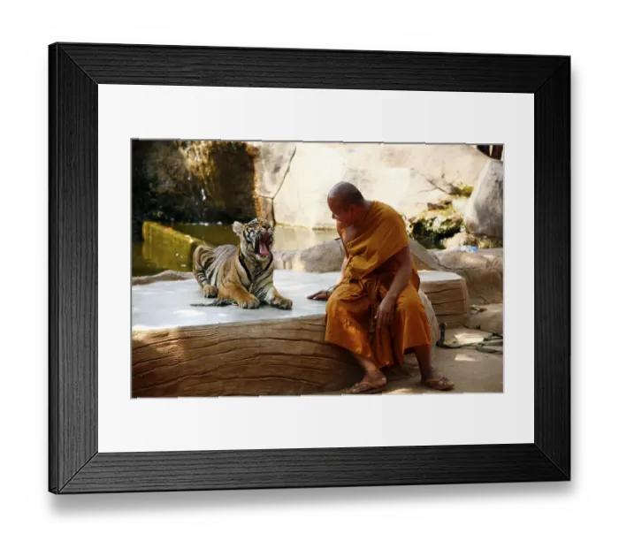 Framed Print : Tiger Temple or Wat Pa Luangta Bua Framed Print : Tiger Temple or Wat Pa Luangta Bua