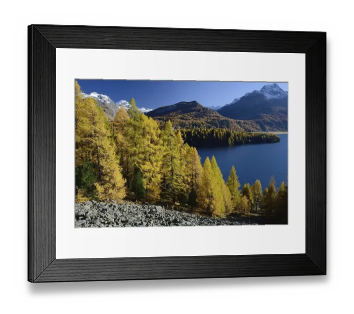 Framed Print : Lake Sils and Piz da la Margna Framed Print : Lake Sils and Piz da la Margna