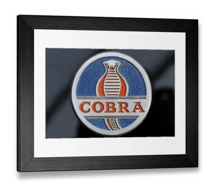 Framed Print : AC Cobra logo, wordmark with the image of a cobra