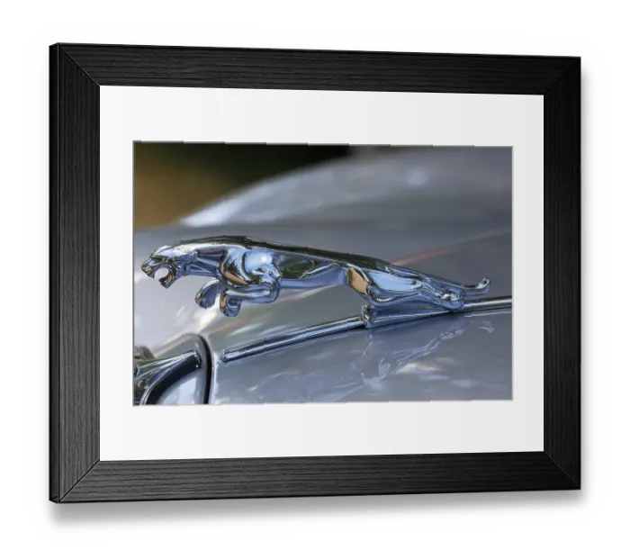 Framed Print : Radiator figure Jaguar on the bonnet Jaguar 3 Framed Print : Radiator figure Jaguar on the bonnet Jaguar 3