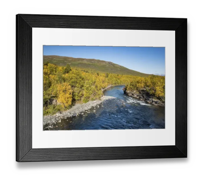 Framed Print : Abiskojokk river in autumnal landscape Framed Print : Abiskojokk river in autumnal landscape