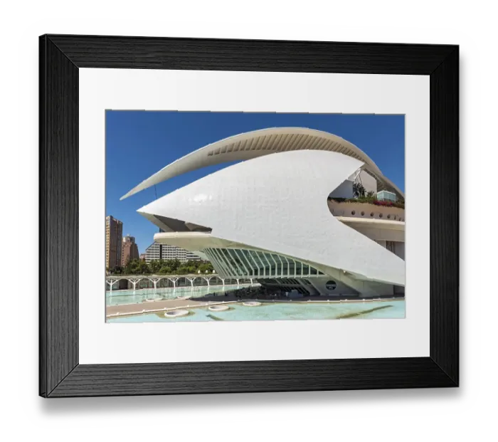 Framed Print : Palace of the Arts, Palau de les Arts Reina Sofia Framed Print : Palace of the Arts, Palau de les Arts Reina Sofia