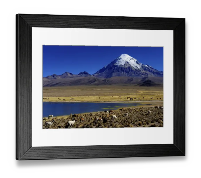 Framed Print : Sajama Mountain, Bolivia's highest mountain Framed Print : Sajama Mountain, Bolivia's highest mountain