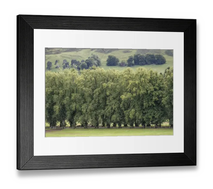 Framed Print : Linden Avenue, Blair Castle, Blair Atholl