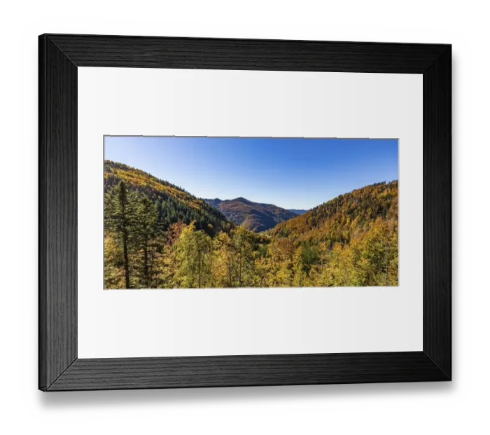 Framed Print : Mixed forest in the Upper Black Forest in autumn