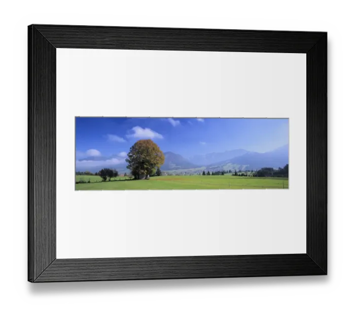 Framed Print : Landscape with trees in autumn Framed Print : Landscape with trees in autumn