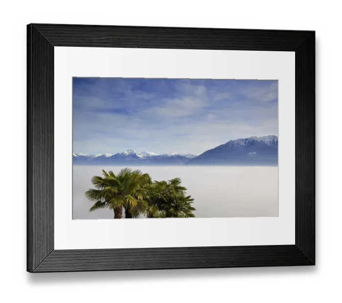Framed Print : Aerial View over Cloudscape and Snow-capped Mountain with Palm Trees in a Sunny Day in Ticino Framed Print : Aerial View over Cloudscape and Snow-capped Mountain with Palm Trees in a Sunny Day in Ticino