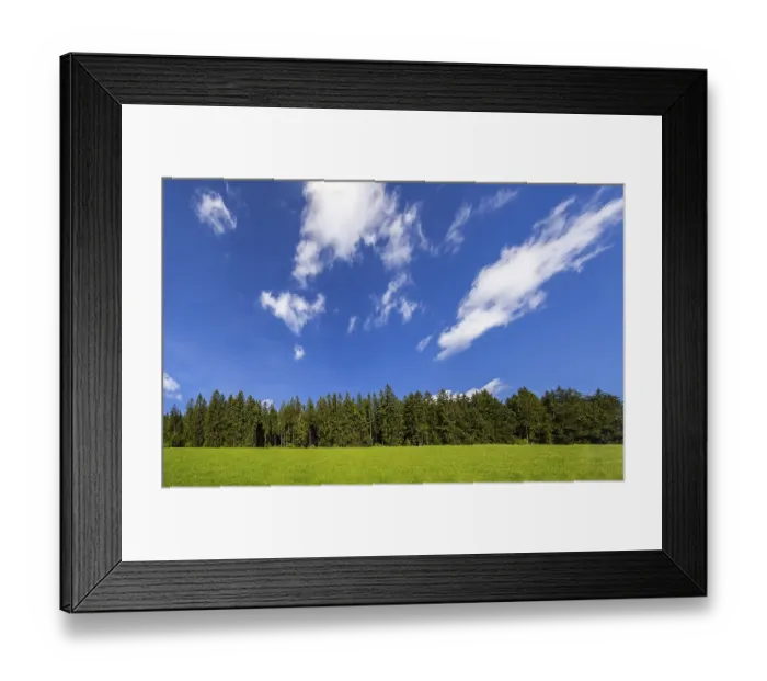 Framed Print : Coniferous forest with sky and clouds Framed Print : Coniferous forest with sky and clouds
