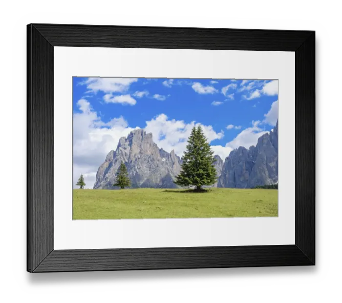 Framed Print : Landscape view from a alp meadow with spruce trees at the Langkofel Group in the Dolomites mountains in summer