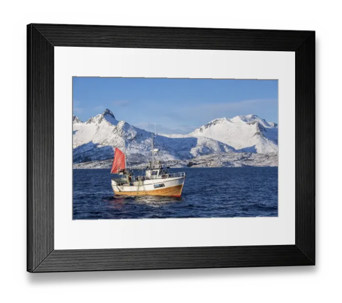 Framed Print : Traditional fishing boat catching the net