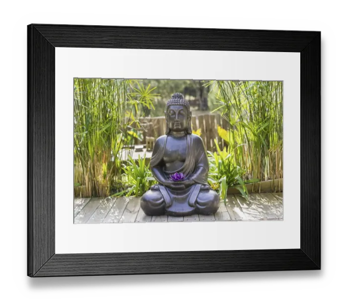 Framed Print : Meditating Buddha Statue with a purple lotus on his hands on a backyard