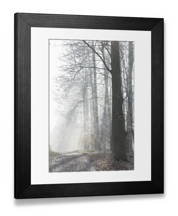 Framed Print : Light mood on a way through the winter forest