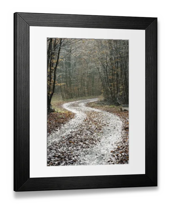Framed Print : Path through an autunmale forest on a rainy day