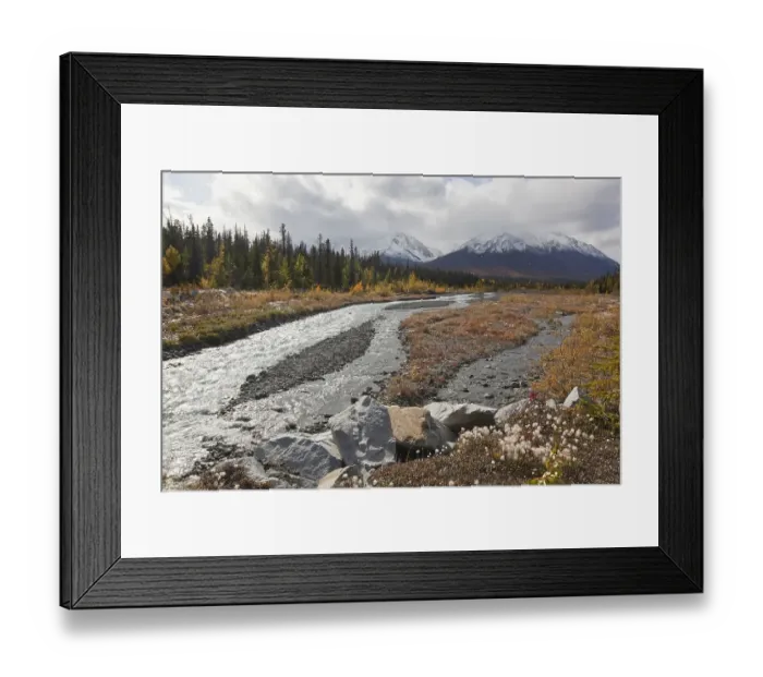 Framed Print : Cotton grass at Quill Creek, autumn