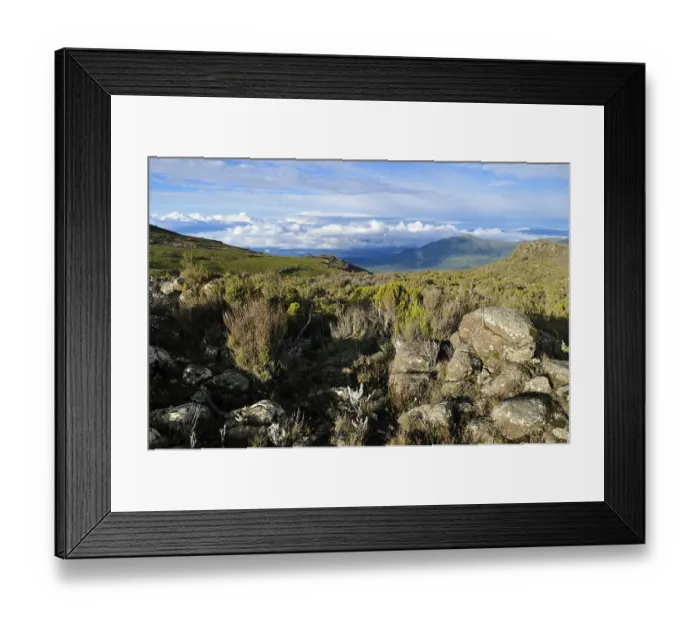 Framed Print : Afromontane landscape on Sanetti Plateau