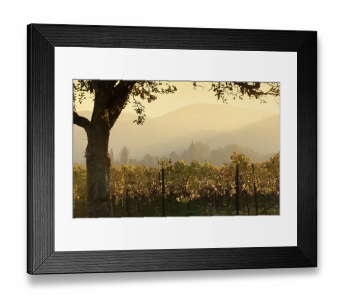 Framed Print : Golden October Framed Print : Golden October