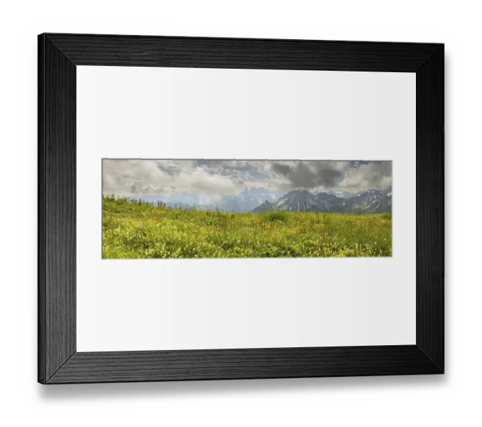 Framed Print : Summer in the Allgaeu, mountain panorama over a lush blooming mountain flower meadow on the Fellhorn 2037m Framed Print : Summer in the Allgaeu, mountain panorama over a lush blooming mountain flower meadow on the Fellhorn 2037m