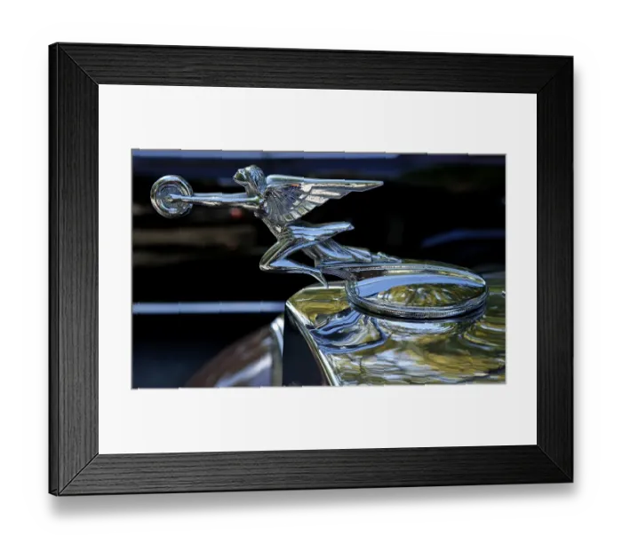 Framed Print : Hood ornament on a 1933 Packard at a Classic Car Show in Belvidere