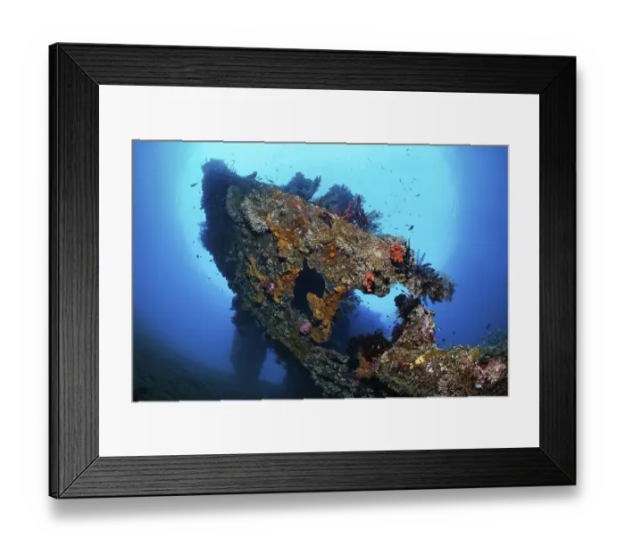 Framed Print : Heck of by an American shipwreck from the second World War overgrown with corals