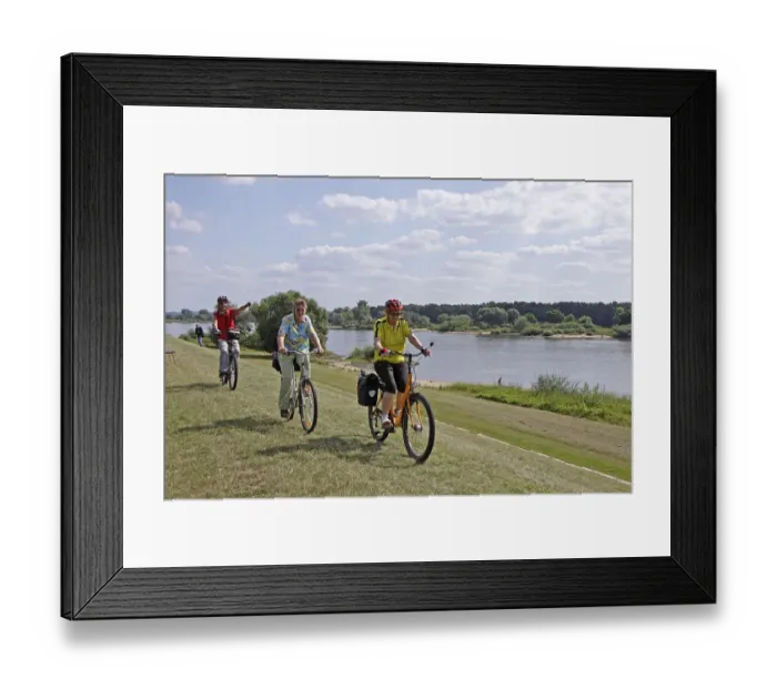 Framed Print : Senior citizens cycling on the Elbe river cycle path