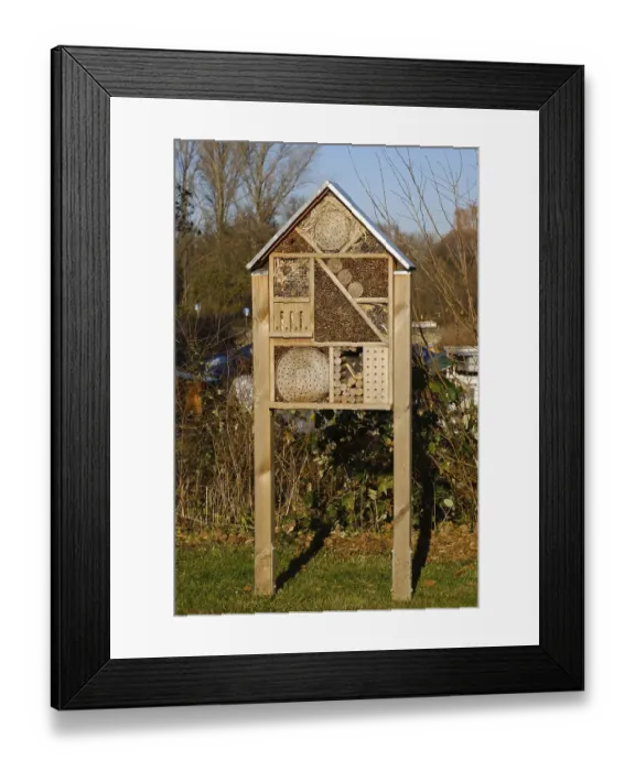Framed Print : Insect hotel, nesting aid for insects Framed Print : Insect hotel, nesting aid for insects