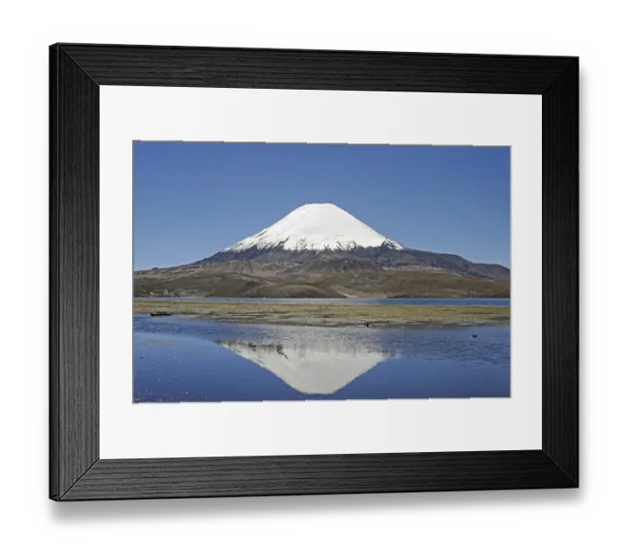 Framed Print : Parinacota Volcano, reflection in Lake Chungara Framed Print : Parinacota Volcano, reflection in Lake Chungara