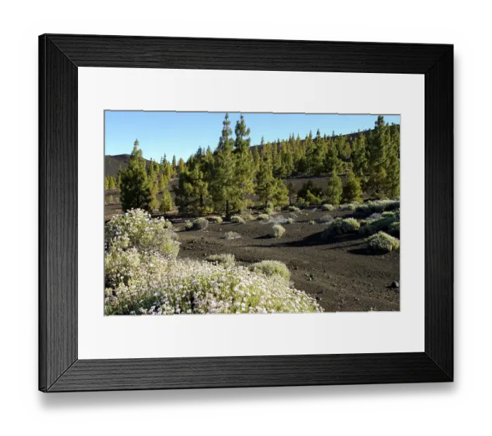 Framed Print : Teide national park, Tenerife, Canary Islands