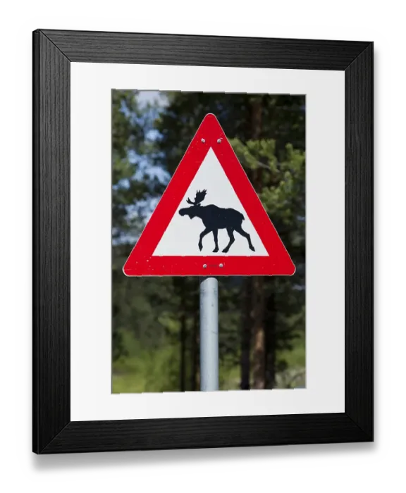 Framed Print : Moose warning sign, Norway, Scandinavia, Europe