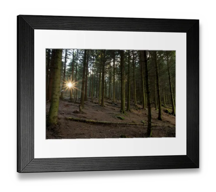 Framed Print : The last rays of sun on a November day