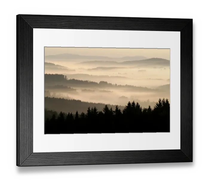 Framed Print : Foggy morning in the forest