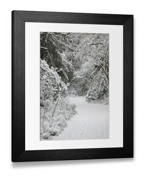 Framed Print : Path through snow covered woods Framed Print : Path through snow covered woods