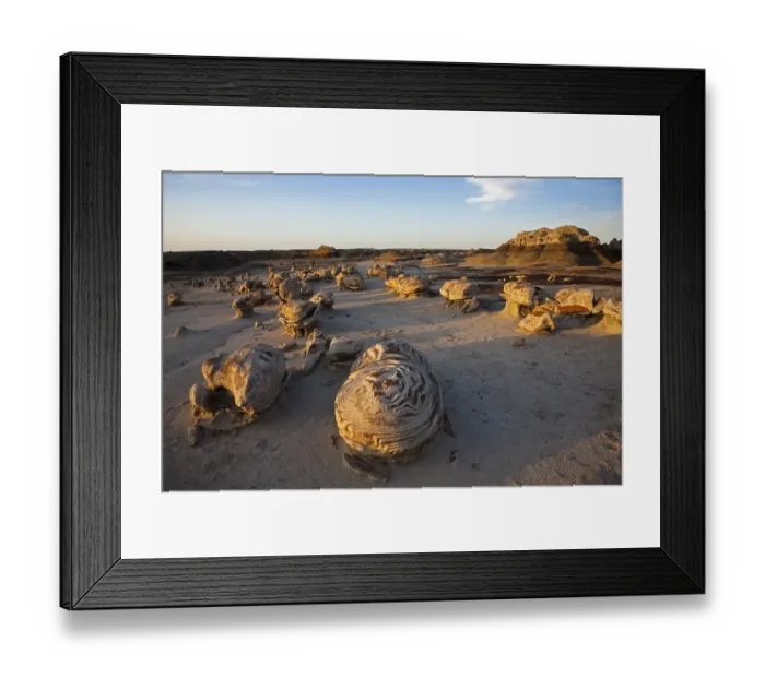 Framed Print : Cracked Eggs, landscape in the Bisti Badlands Framed Print : Cracked Eggs, landscape in the Bisti Badlands