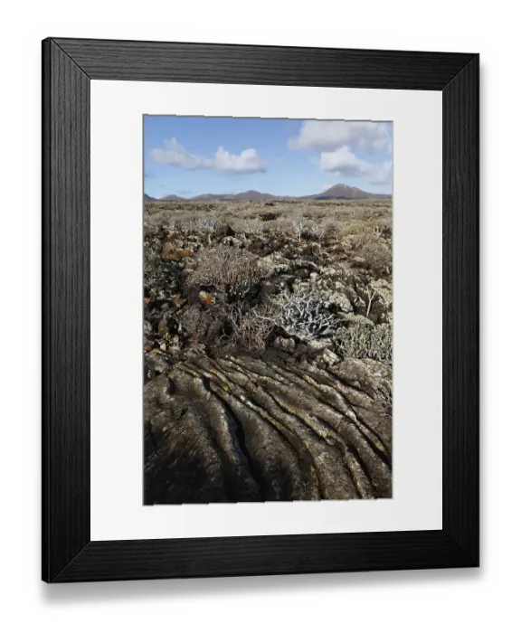 Framed Print : Malpais de la Corona, field of ropy lava from the Corona volcano Framed Print : Malpais de la Corona, field of ropy lava from the Corona volcano