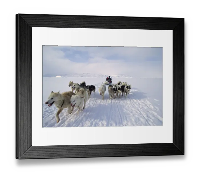 Framed Print : Dog sled, Kangia Fjord, Disko Bay