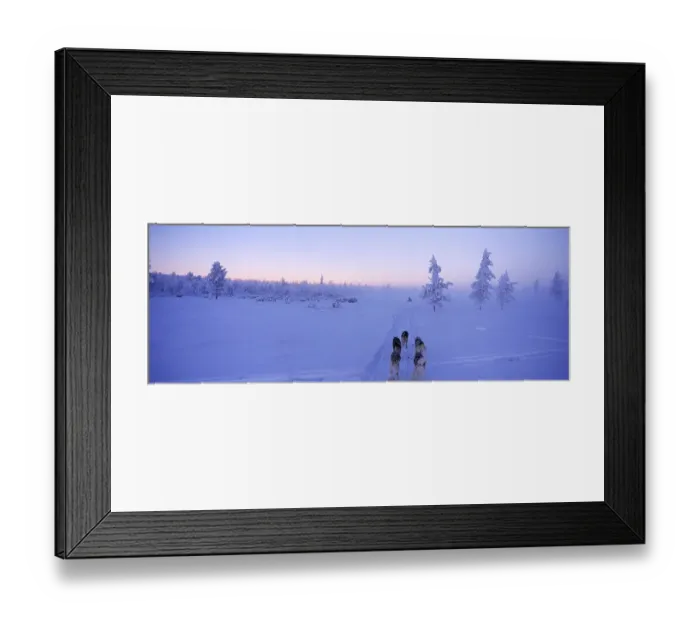 Framed Print : Sled with huskies, Lappland Framed Print : Sled with huskies, Lappland